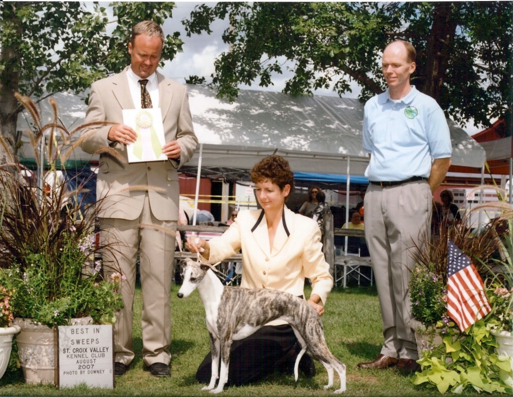 8-25-07DazzBIS best in sweeps