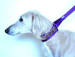Saluki modeling a wide martingale lead